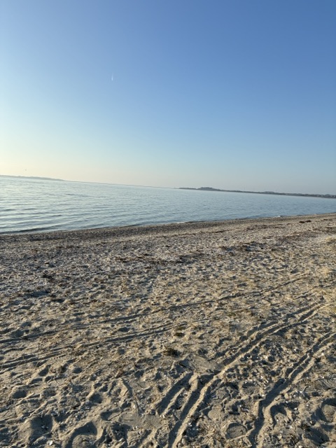 Mittel%20%28IMG_1249%29